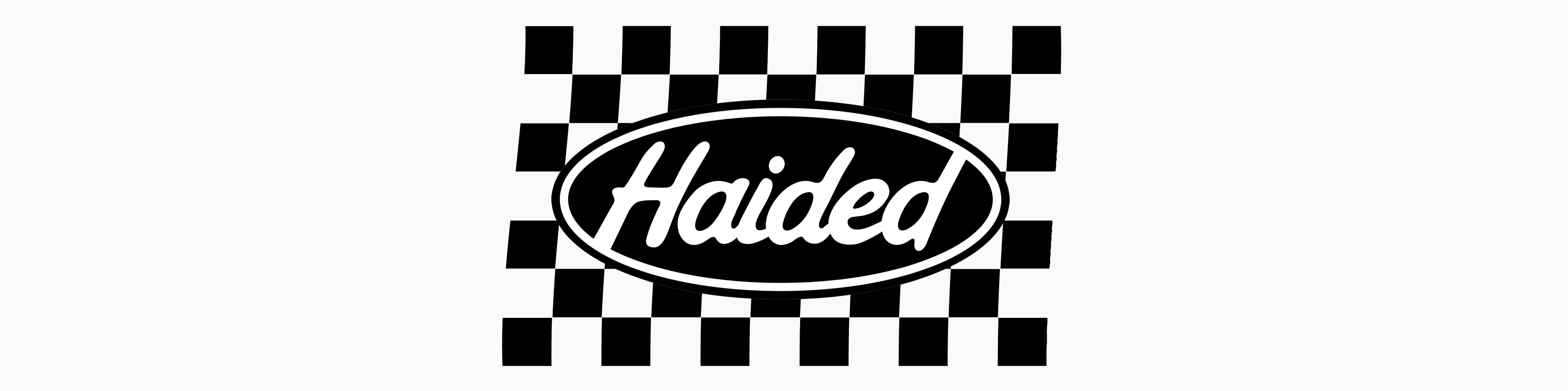 haided logo3