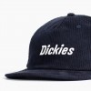 Кепка Dickies Williston Night Sky (DK0A87NEL18)