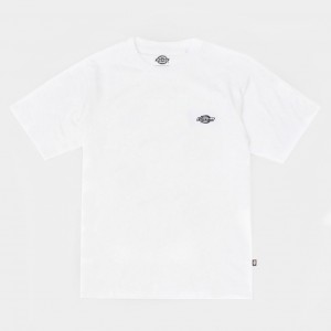 Футболка Dickies Summerdale White (DK0A4YAIWHX)