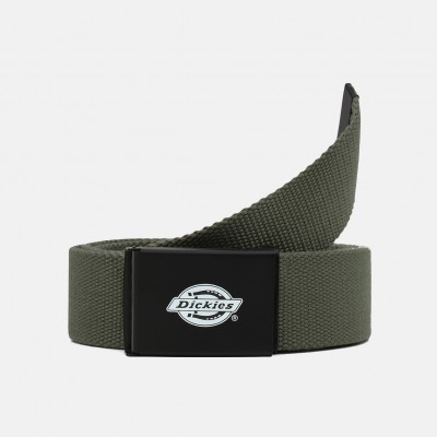 Ремень Dickies Orcutt Olive Green (DK0A4X7EOGX)