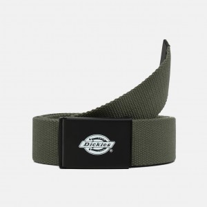 Ремень Dickies Orcutt Olive Green (DK0A4X7EOGX)