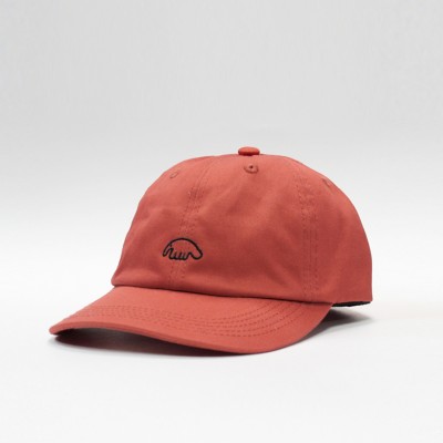 Кепка Anteater 6-Panel Dust Scarlet