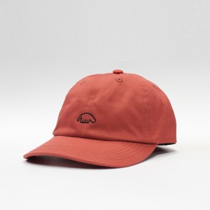 Кепка Anteater 6-Panel Dust Scarlet