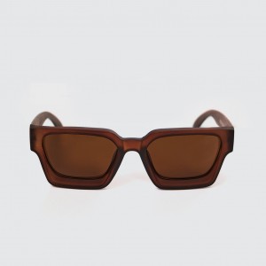 Очки Anteater President Brown