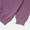 Толстовка Anteater Crewneck Carpet Plum