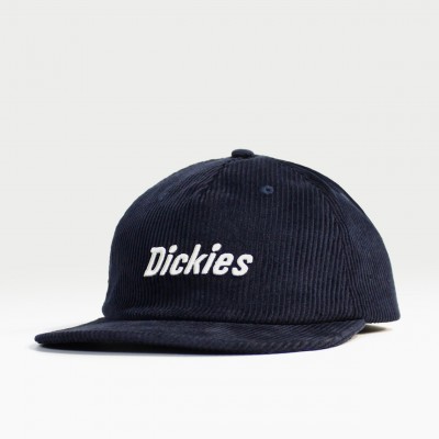 Кепка Dickies Williston Night Sky (DK0A87NEL18)