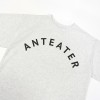 Футболка Anteater Logo Grey Melange