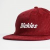 Кепка Dickies Williston Tibetan Red (DK0A87NEK74)