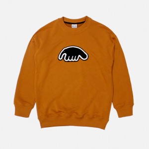 Толстовка Anteater Crewneck Carpet Terracot