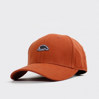 Кепка Anteater Baseball Terra