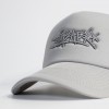Кепка Anteater Trucker Grey