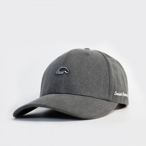 Кепка Anteater Baseball Grey