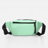 Сумка Anteater Waistbag Lime