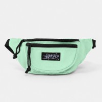 Сумка Anteater Waistbag Lime
