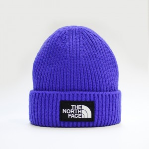 Шапка TNF Logo Box Cuffed Beanie TNF Blue (NF0A3FJXCZ6)