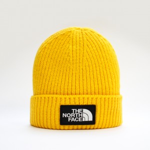 Шапка TNF Logo Box Cuffed Beanie Summit Gold (NF0A3FJX56P)