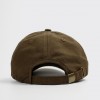 Кепка Anteater 6-Panel Khaki Carob