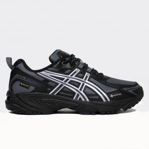 Кроссовки ASICS Gel-Ventx Gore-Tex Carrier Grey/Black (1203B161-021)