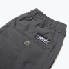 Брюки Anteater Joggers Grey