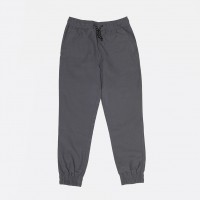 Брюки Anteater Joggers Grey