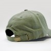Кепка Anteater 6-Panel Dust Green