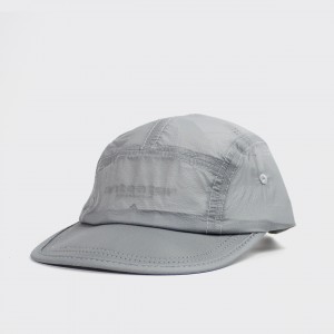 Кепка Anteater 5-Panel Sport Grey
