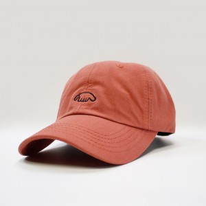 Кепка Anteater 6-Panel Dust Scarlet
