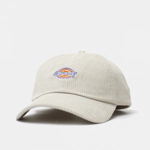 Кепка Dickies Hardwick Corduroy Stone (DK0A4ZAY0ST)