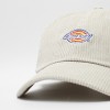 Кепка Dickies Hardwick Corduroy Stone (DK0A4ZAY0ST)