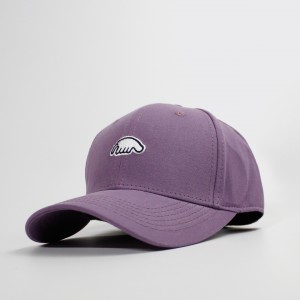 Кепка Anteater Baseball Lilac