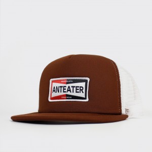 Кепка Anteater Trucker Equipped Brown/White