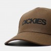 Кепка Dickies Torrey Snapback Timber Brown (DK0A88I90TB)