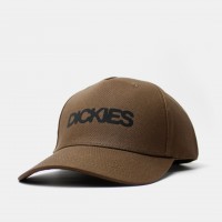 Кепка Dickies Torrey Snapback Timber Brown (DK0A88I90TB)