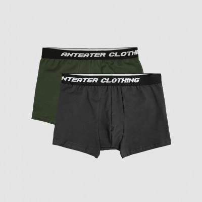 Трусы Anteater Boxers 2Pack Green/Grey