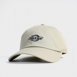 Кепка Dickies Essential Dad Cap Desert Sand (DK0A4Z6N0DS)