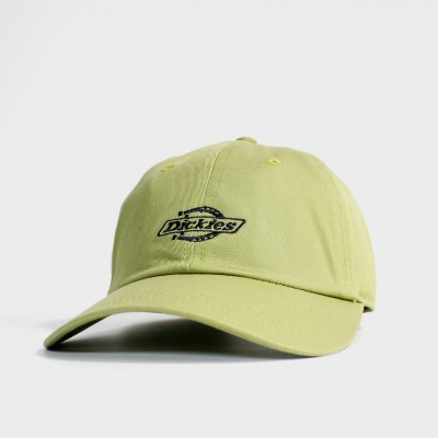 Кепка Dickies Essential Dad Cap Desert Evergreen (DK0A4Z6NL20)