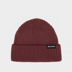 Шапка Dickies Woodworth Beanie Andorra (DK0A4X7YL16)