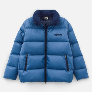 Куртка Anteater Downjacket Blue