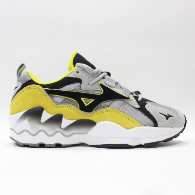 mizuno wave rider 22 43