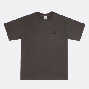 Футболка Anteater Phat Brown Grey