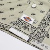Рубашка Dickies Glandorf Egret (DK0A889TC48)