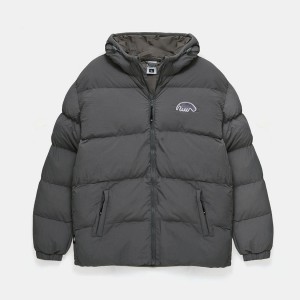 Куртка Anteater Downhood Crispy Grey