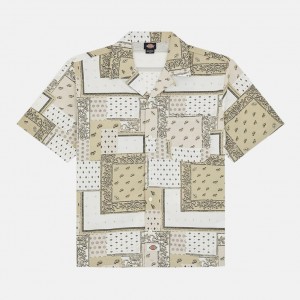 Рубашка Dickies Glandorf Egret (DK0A889TC481)
