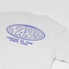 Футболка Vans World Tour Loose Fit Light Grey (VN000VY81QI)