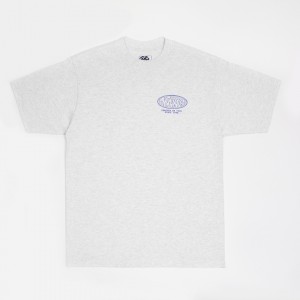 Футболка Vans World Tour Loose Fit Light Grey (VN000VY81QI)