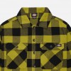 Рубашка Dickies New Sacramento Evergreen (DK0A4XDZL20)