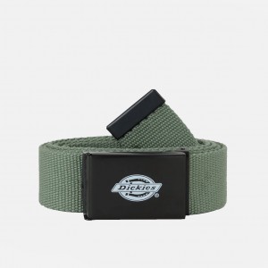 Ремень Dickies Orcutt Sea Spray (DK0A4X7EL19)