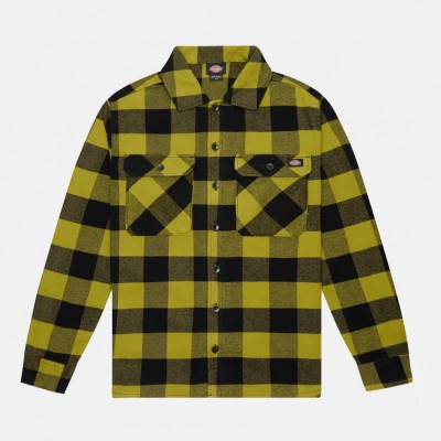 Рубашка Dickies New Sacramento Evergreen (DK0A4XDZL20)