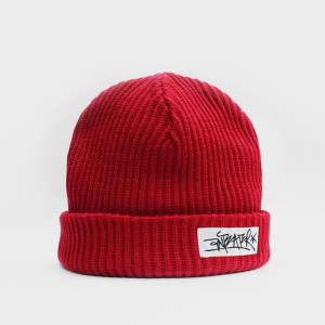 Шапка Anteater Fishman Red